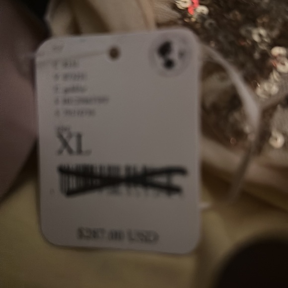 Free People x En Saison “Romi” Sequin Embellished Top and Skirt Set. NWT - Picture 8 of 8